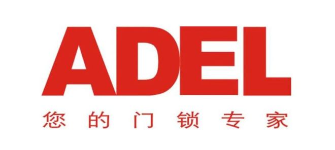 指码 博克……这些成立20年以上的智能锁品牌你知道多少？PG麻将胡了力维 必达 爱迪尔 科裕 天宇 同创新佳 金(图2)